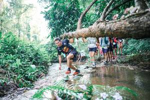 BIB: 
                            <button type="button" onclick="openModal(25453528)" class="btn btn-primary btn-sm float-right btn-popup" data-toggle="modal" data-target=".modal-high-quality">
                        <i class="fas fa-shopping-cart"></i> Add to Cart
                    </button>
                                            <button type="button" onclick="isThisMe(25453528, true)" class="btn btn-success btn-sm float-right btn-popup btn-isme hidden" data-toggle="tooltip" data-placement="bottom" title="นี่คือรูปของคุณใช่ไหม คลิกที่นี่เพื่อเอาเข้าอัลบั้ม">
                        <i class="fas fa-plus"></i> Add to album
                    </button>
                    <button type="button" onclick="isThisMe(25453528, false)" class="btn btn-warning btn-sm float-right btn-popup btn-isnotme hidden">
                        <i class="fas fa-ban"></i> Remove from album
                    </button>